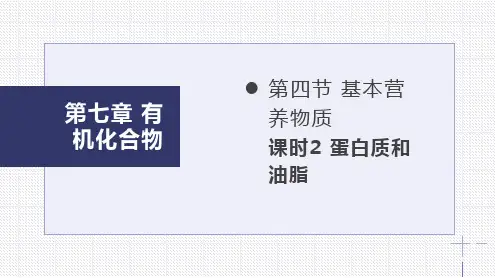 蛋白质(课件)-高一化学备课精选课件(人教版2019必修第二册)