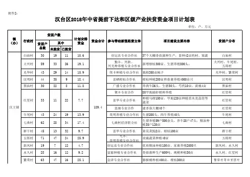 贫困村资金项目计划