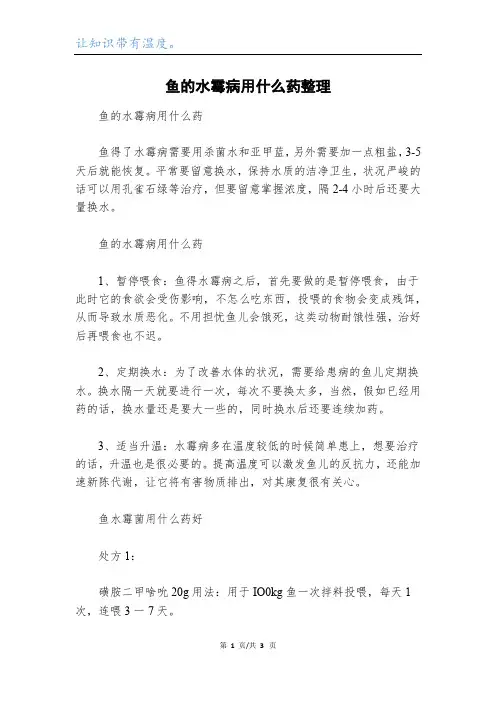 鱼的水霉病用什么药整理