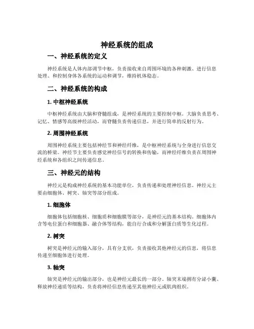 神经系统的组成-鲁科五四学制版七年级生物下册教案