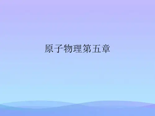 2021原子物理第五章PPT优秀资料
