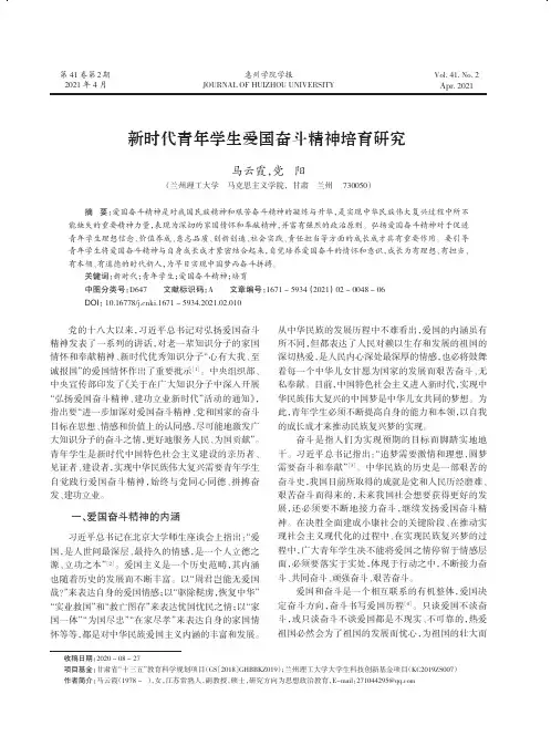 新时代青年学生爱国奋斗精神培育研究
