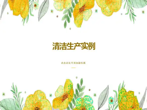 清洁生产实例