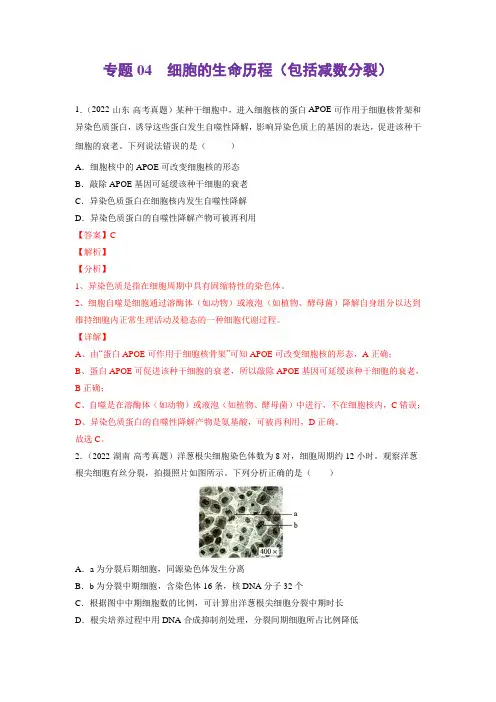 细胞的生命历程(包括减数分裂)-三年(2020-2022)高考真题生物分项汇编(新高考解析版)