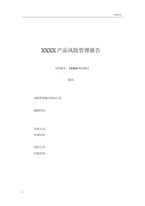 风险管理报告模板