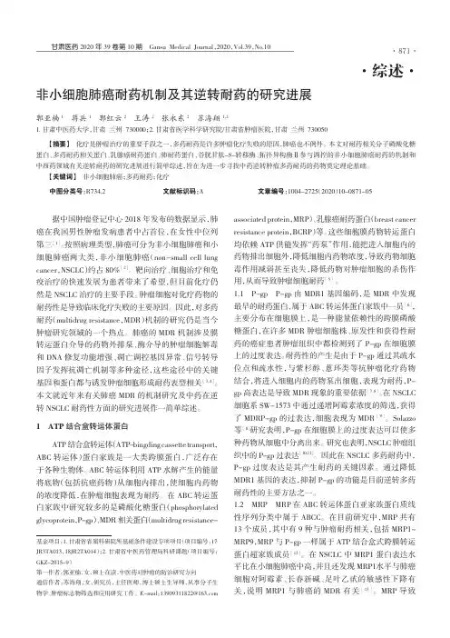 非小细胞肺癌耐药机制及其逆转耐药的研究进展