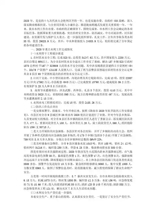 2020年水利工作总结及2020年工作计划.docx