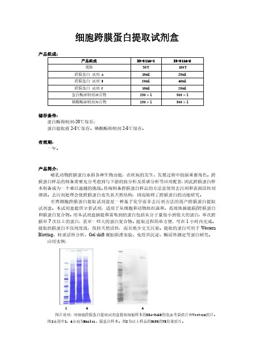细胞跨膜蛋白提取方法