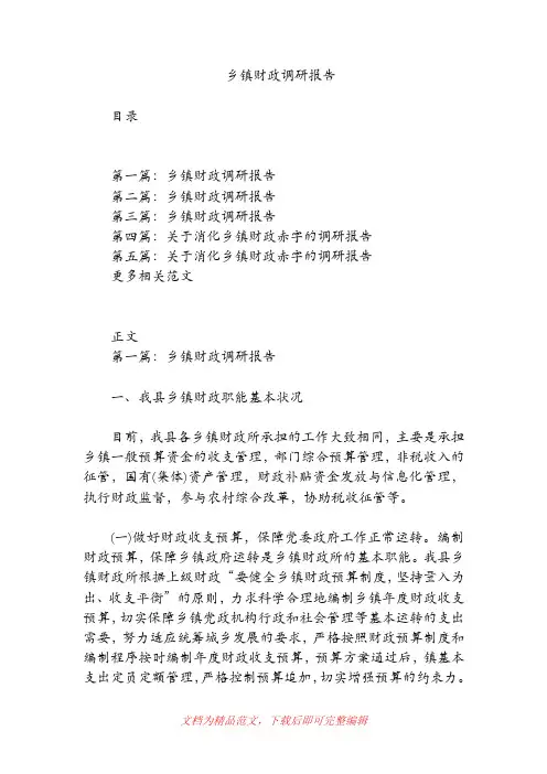 乡镇财政调研报告【精品范文】.doc