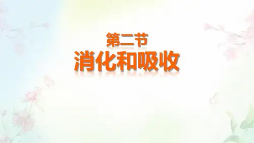 《消化和吸收》PPT优质课件