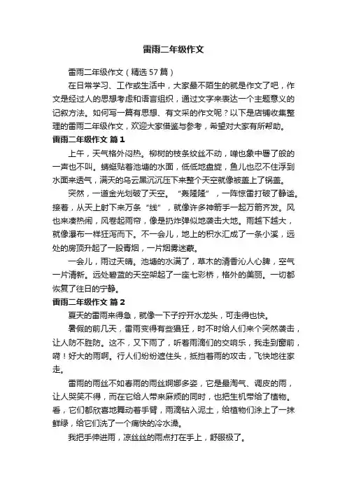 雷雨二年级作文