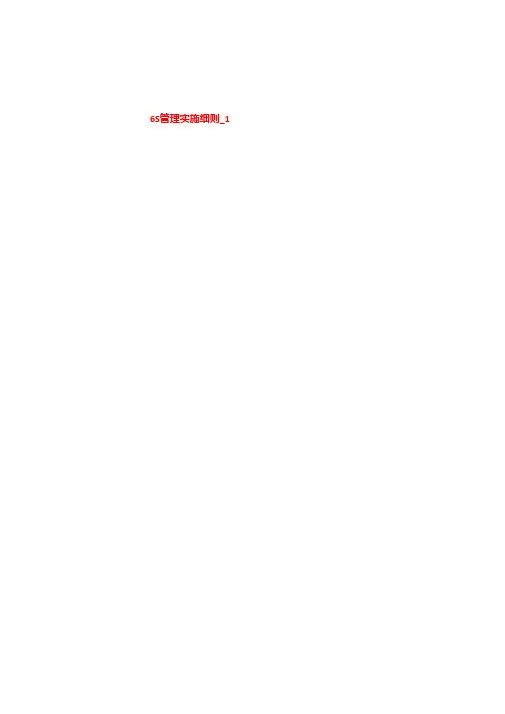 6S管理实施细则 SS