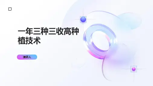 一年三种三收高种植技术