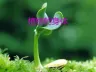 《植物的身体》公开课课件