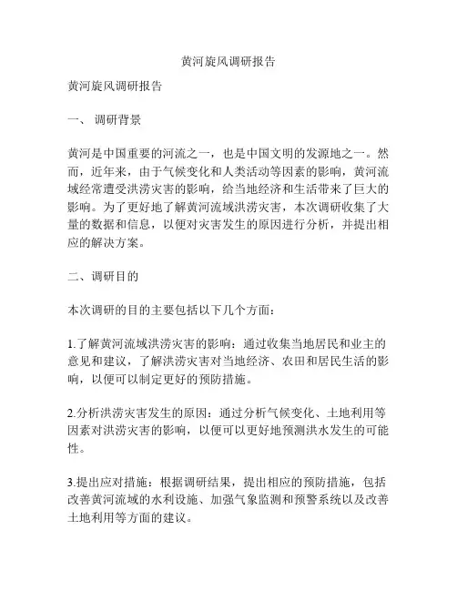 黄河旋风调研报告
