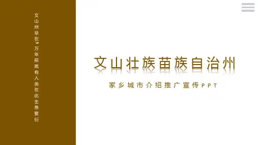 文山壮族苗族自治州云南家乡城市文化介绍宣传PPT内容型模板景点美食民俗文化PPT