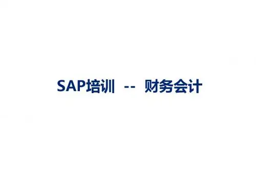 SAP财务会计