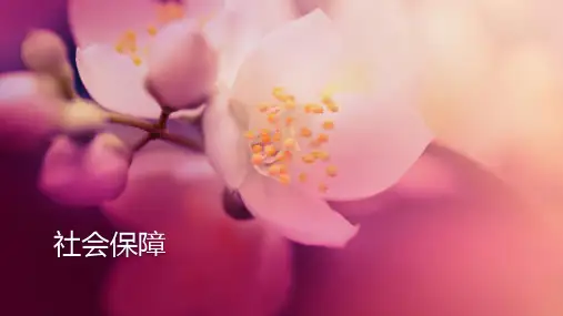 社会保障学课件 第2章--社会保障的产生和发展