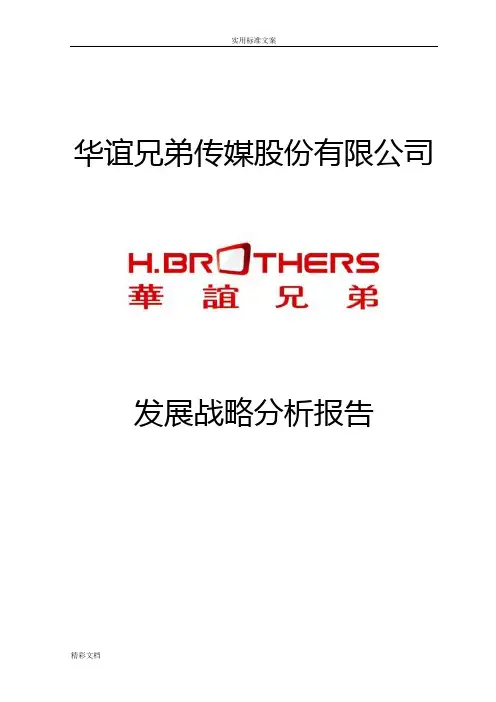 华谊兄弟发展战略分析报告报告材料