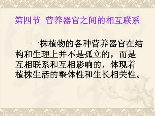 营养器官之间的相互联系