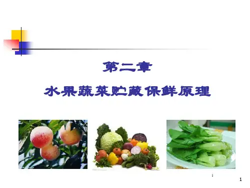 食品贮藏与保鲜技术及原理 第二章1果蔬保鲜原理1