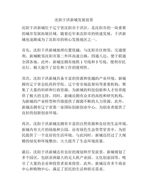 沈阳于洪新城发展前景