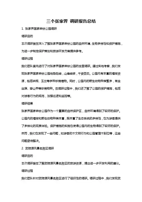三个张家界 调研报告总结