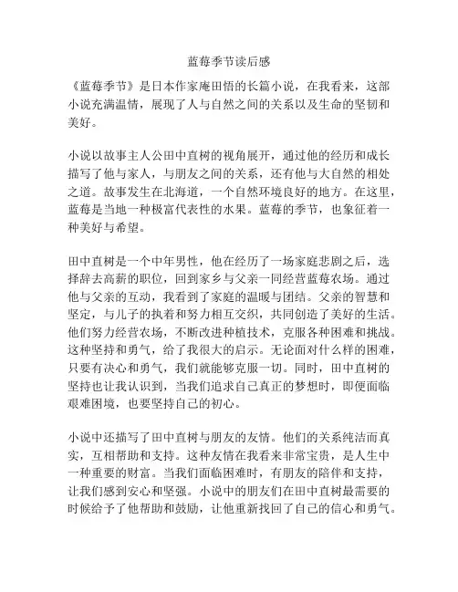 蓝莓季节读后感