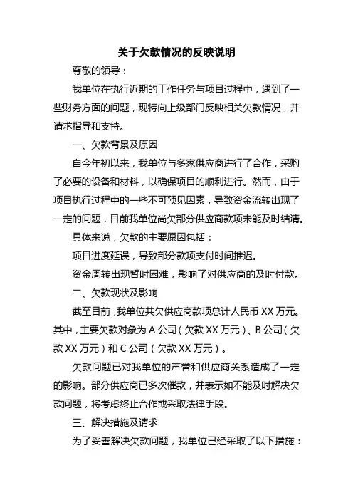 关于欠款情况的反映说明