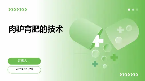 肉驴育肥的技术