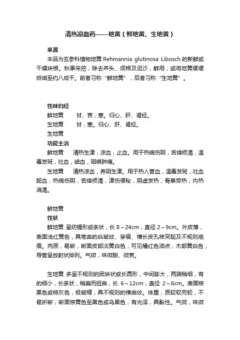 清热凉血药——地黄（鲜地黄、生地黄）
