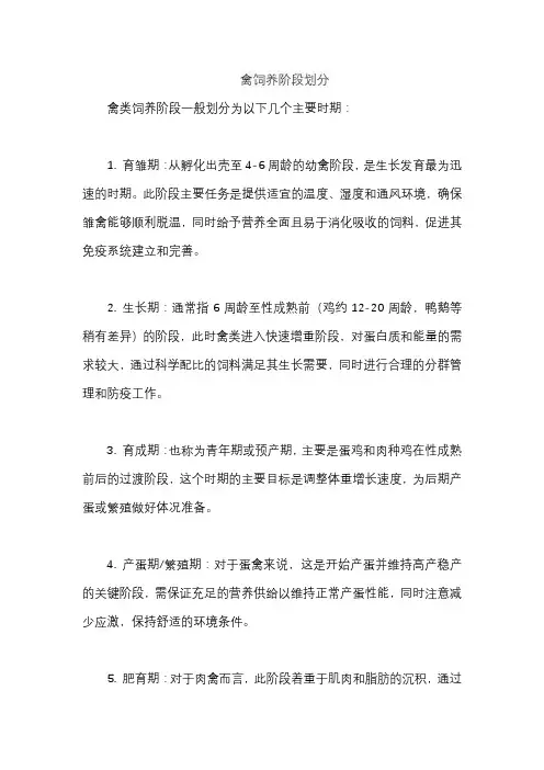 禽饲养阶段划分