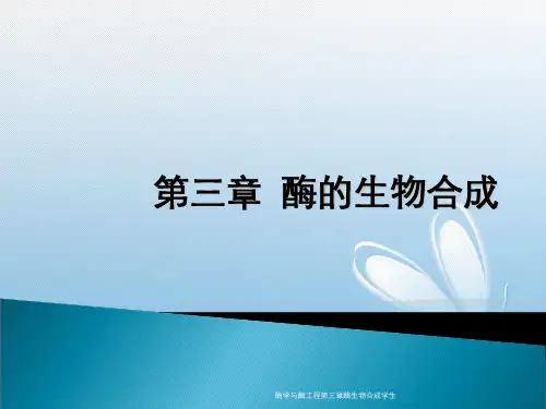 酶学与酶工程第三章酶生物合成学生
