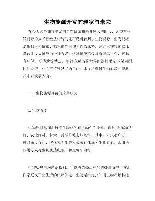 生物能源开发的现状与未来