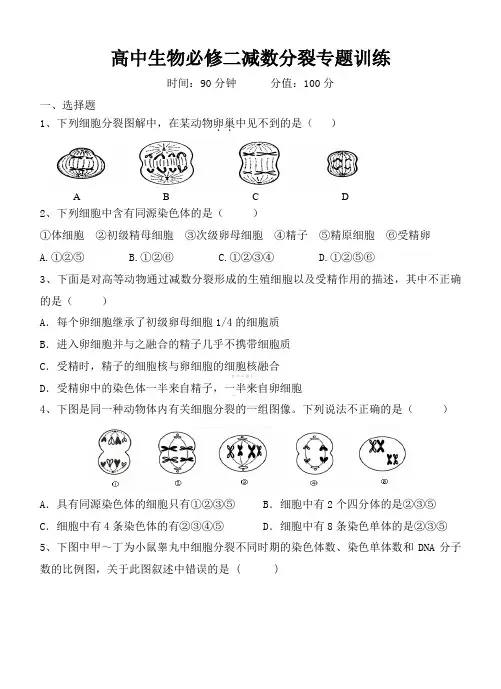 生物必修二减数分裂试题
