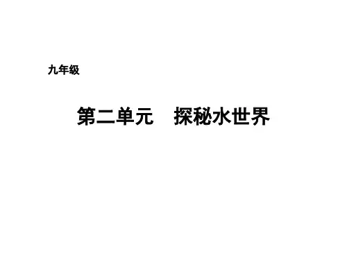 探秘水世界PPT课件