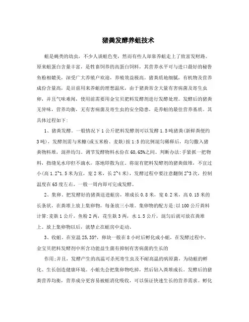 猪粪发酵养蛆技术
