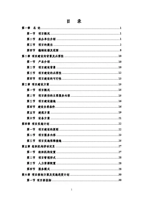 京华化工项目建议书