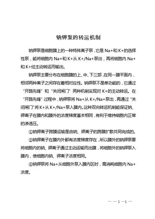 钠钾泵的转运机制