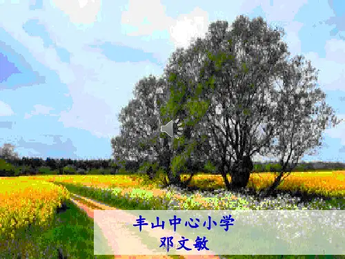 巧写提示语对话变精彩  ppt课件