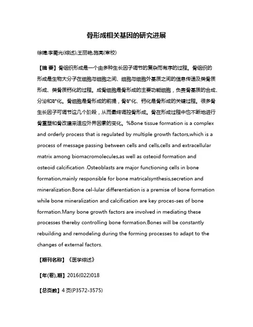 骨形成相关基因的研究进展