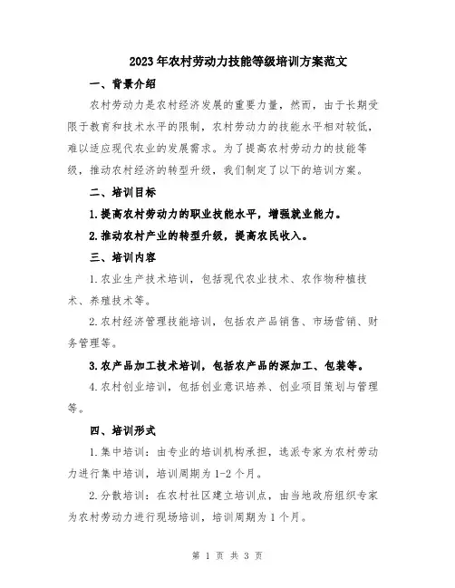 2023年农村劳动力技能等级培训方案范文
