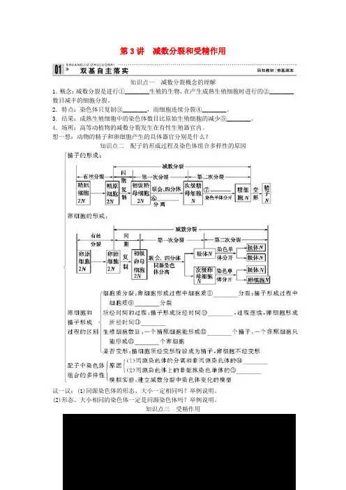 高考生物一轮复习资料 第一单元 第3讲减数分裂和受精作用 新人教版必修2