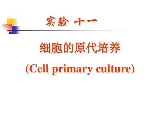 细胞生物学实验细胞原代培养