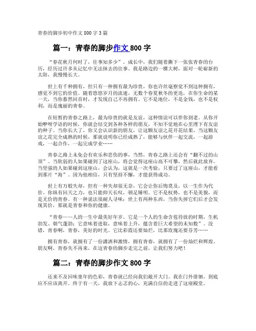青春的脚步初中作文800字