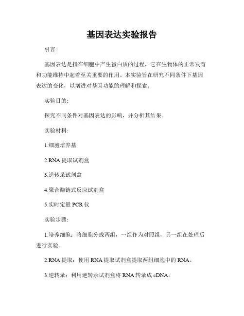 基因表达实验报告