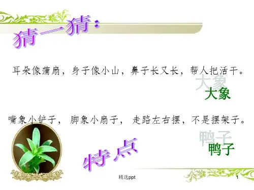 《写熟悉的人的一件事》ppt(配有教案)
