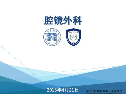 外科学总论课件：13.腔镜外科