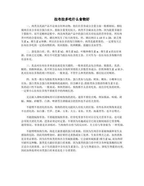 拉布拉多吃什么食物好