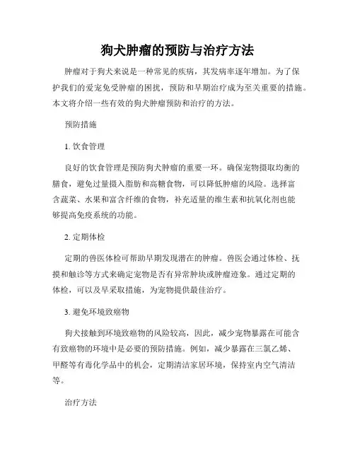 狗犬肿瘤的预防与治疗方法